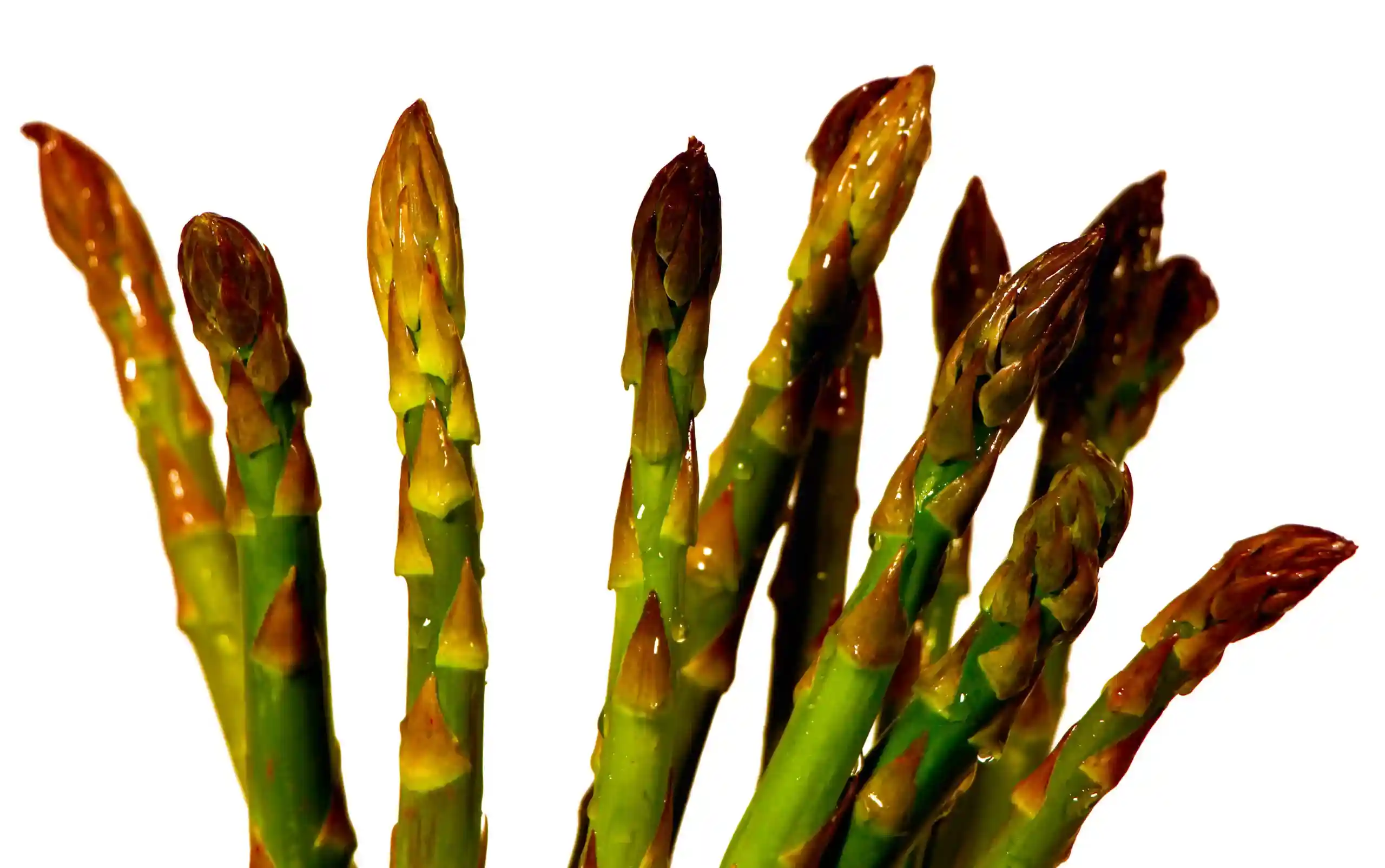 Espárrago Green Asparagus